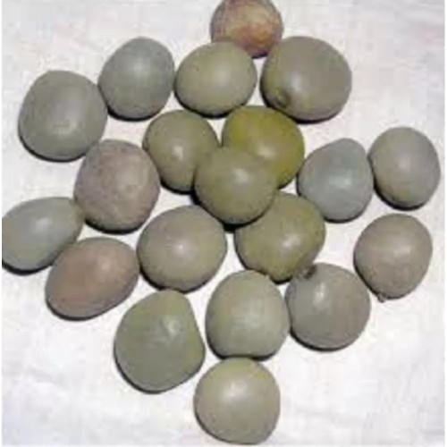 Yugantar Karanjava (100g)