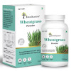 Four Seasons Wheatgrass Powder (100g)