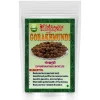 Yugantar Gorakhmundi (300g)