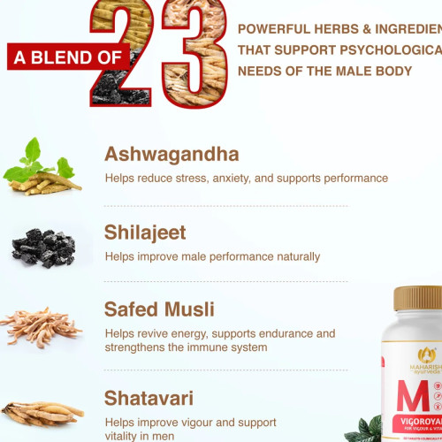 Maharishi Ayurveda Vigoroyal-M  Tablets (10 Tablets)