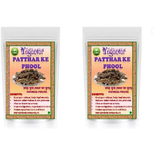 Yugantar Pathar Ke Phool (400g, Pack of 2)