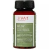 Jiva Ayurveda Giloy  Capsulesule (60 Capsules)