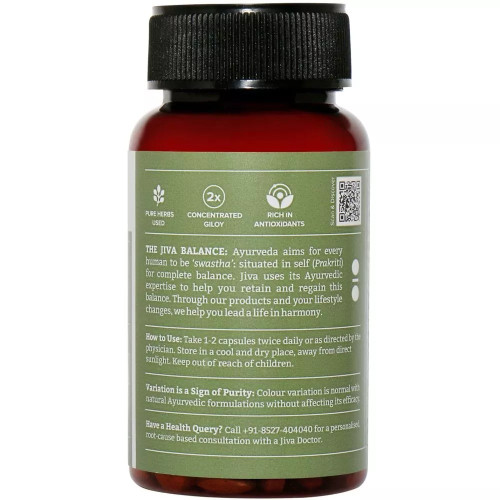 Jiva Ayurveda Giloy  Capsulesule (60 Capsules)