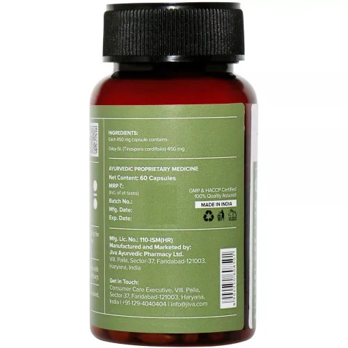 Jiva Ayurveda Giloy  Capsulesule (60 Capsules)