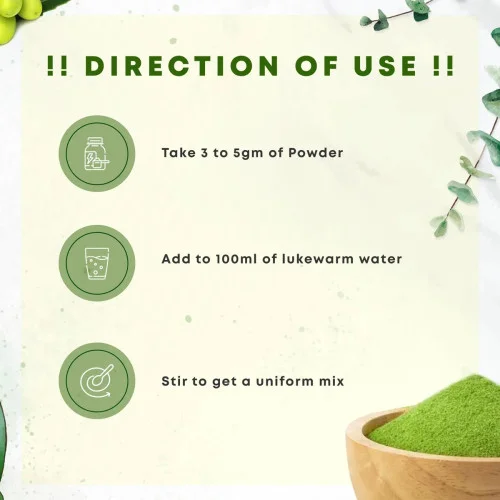 Four Seasons Neem Powder (100g)