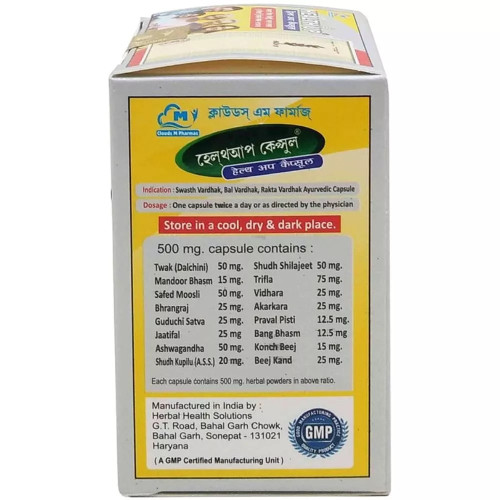 Health Up Ayurvedic Weight Gainer  Capsulesule (60 Capsules)