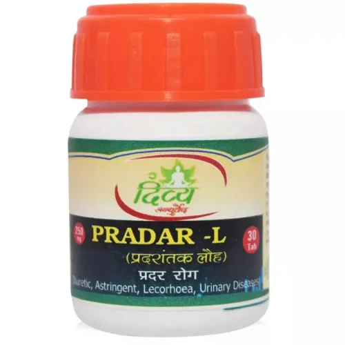 Shree Divya Ayurved Pradantk Lauh (30 Tablets)