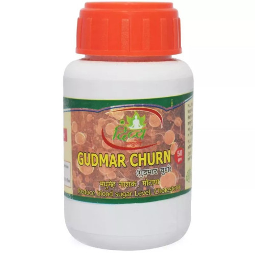 Shree Divya Ayurved Gudmar Churn (50g)