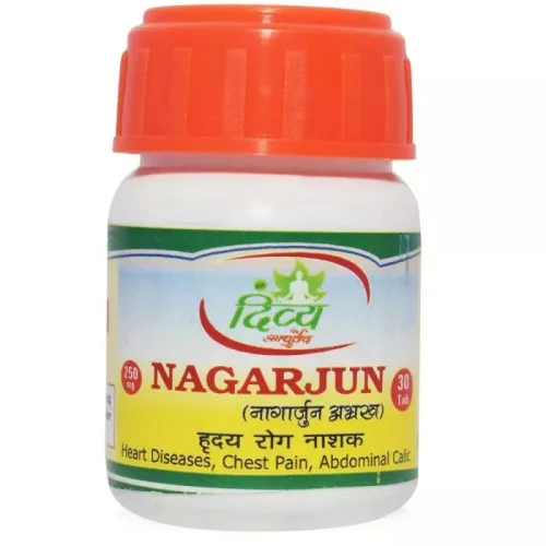 Shree Divya Ayurved Nagarjun Abhrakh (30 Tablets)
