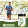 Bixa Botanical Neem Leaves Powder Azadirchta Indica (200g)