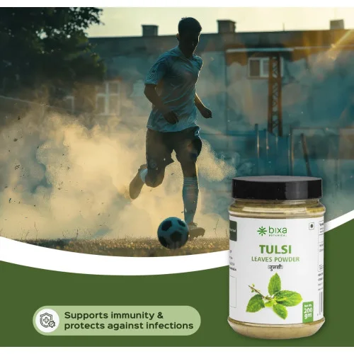 Bixa Botanical Tulsi Leaves Powder Ocimum Sanctum (200g)