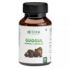 Bixa Botanical Guggul Extract Veg  Capsules (450Mg) 2.5% Guggulsterones (60 Capsules)