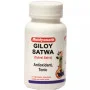 Baidyanath (Nagpur) Giloy Satwa (40g)