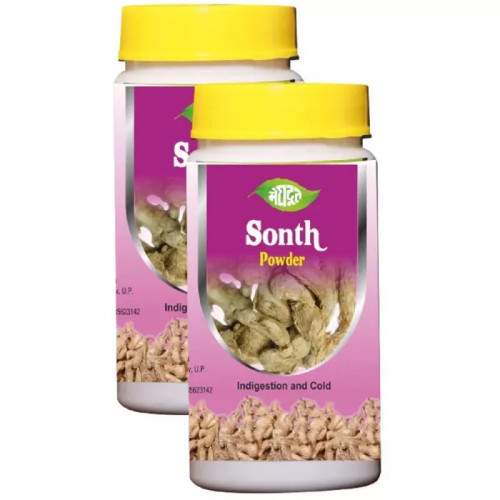 Meghdoot Ayurvedic Sonth Churna (100g, Pack of 2)