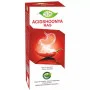 Meghdoot Acidshoonya Ras (500ml)