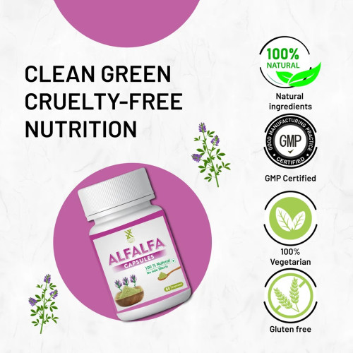 Xovak Pharma Tech Alfalfa  Capsules (60 Capsules)