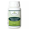 Pravek Triphala Guggulu (40 Tablets)