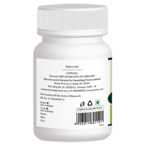 Pravek Dhatri Lauh (40 Tablets)