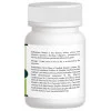 Pravek Gandhak Rasayan (40 Tablets)