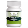 Pravek Lakshmi Vilas Ras Nardiya (40 Tablets)