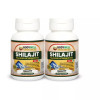 Bodywell Shilajit 500Mg  Capsules (60 Capsules, Pack of 2)