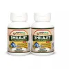 Bodywell Shilajit 500Mg  Capsules (60 Capsules, Pack of 2)