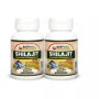 Bodywell Shilajit 500Mg  Capsules (60 Capsules, Pack of 2)
