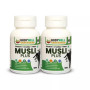 Bodywell Musli Plus 500Mg  Capsules (60 Capsules, Pack of 2)