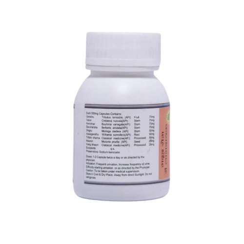 SN Herbals Prostand  Capsulesule (30cap)