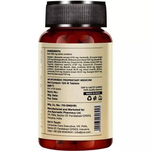 Jiva Ayurveda Pain Calm  Tablet (120 Tablets)