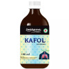Deshrakshak Kafol Syrup (100ml)