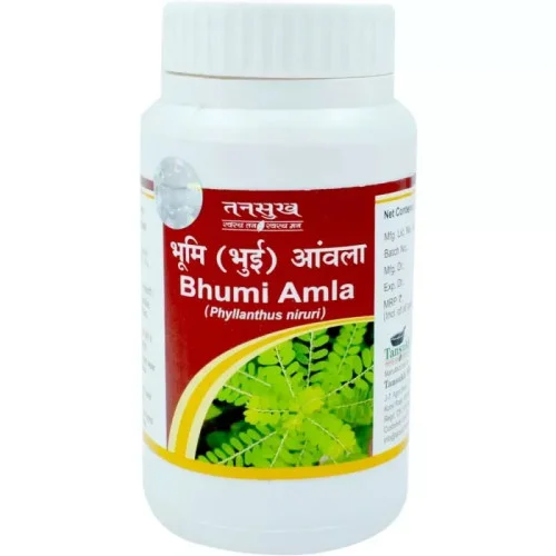 Tansukh Bhumi Amla Churna (100g)