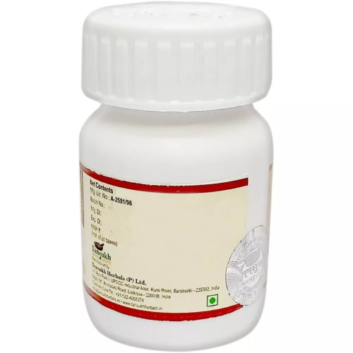 Tansukh Medohar Vidangadi Lauh (10g)