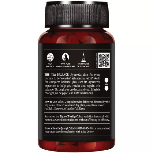 Jiva Ayurveda Pure Shilajeet  Capsules (60 Capsules)