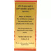 Baidyanath (Nagpur) Prawal Panchamrita (10 Tablets)