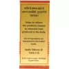 Baidyanath (Nagpur) Prawal Panchamrita (10 Tablets)