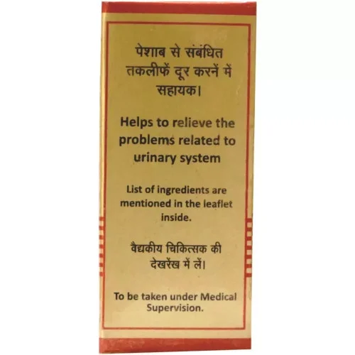 Baidyanath (Nagpur) Somnath Ras Br (10 Tablets)