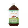 Vaidyacure Liver DS Syrup (1 Month Course) (450ml)