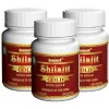 Deemark Shilajit Gold With Kesar  Capsules (45 Capsules, Pack of 3)