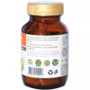 Sitaram Ayurveda Amla  Capsules (60 Capsules)
