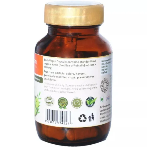Sitaram Ayurveda Amla  Capsules (60 Capsules)