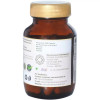 Sitaram Ayurveda Amla  Capsules (60 Capsules)