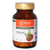 Sitaram Ayurveda Shallaki  Capsules (60 Capsules)