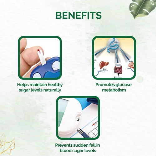 Dr Vaidyas Diabex  Capsules (30 Capsules)