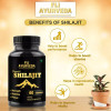 Fij Ayurveda Premium Shilajit Extract  Capsulesule (60 Capsules)