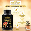 Fij Ayurveda Power Shilajit Extract  Capsulesule (60 Capsules)
