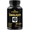 Fij Ayurveda Raw Shilajit Extract  Capsulesule (60 Capsules)