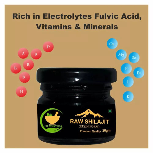 Fij Ayurveda Raw Shilajit Resin (20g)