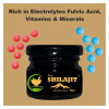 Fij Ayurveda Pure Shilajit Resin (20g)