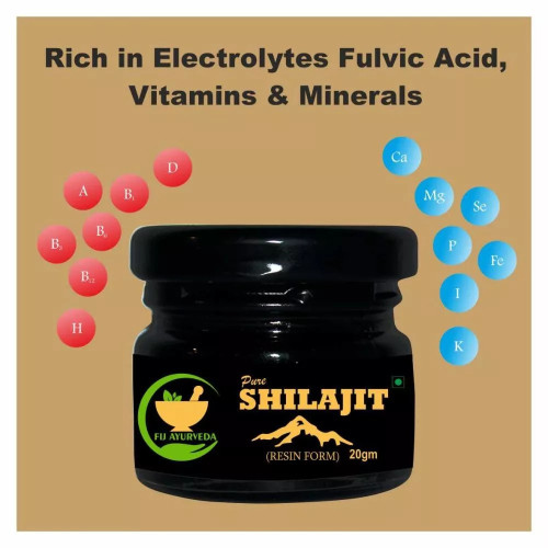 Fij Ayurveda Pure Shilajit Resin (20g)
